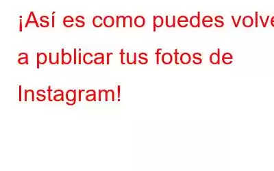 ¡Así es como puedes volver a publicar tus fotos de Instagram!