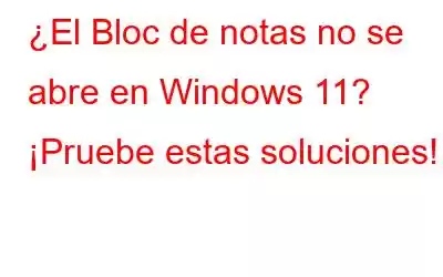 ¿El Bloc de notas no se abre en Windows 11? ¡Pruebe estas soluciones!