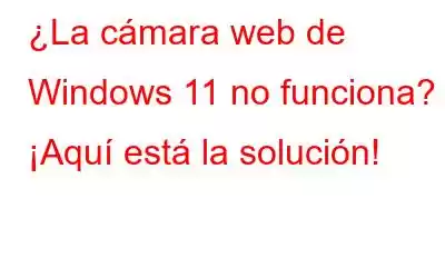 ¿La cámara web de Windows 11 no funciona? ¡Aquí está la solución!