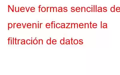 Nueve formas sencillas de prevenir eficazmente la filtración de datos