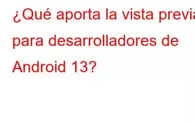 ¿Qué aporta la vista previa para desarrolladores de Android 13?