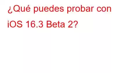 ¿Qué puedes probar con iOS 16.3 Beta 2?