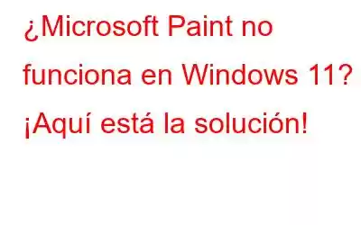 ¿Microsoft Paint no funciona en Windows 11? ¡Aquí está la solución!