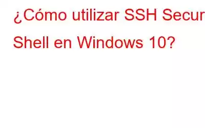 ¿Cómo utilizar SSH Secure Shell en Windows 10?