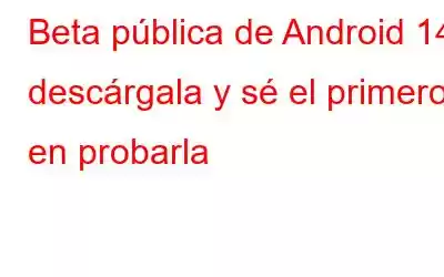 Beta pública de Android 14: descárgala y sé el primero en probarla