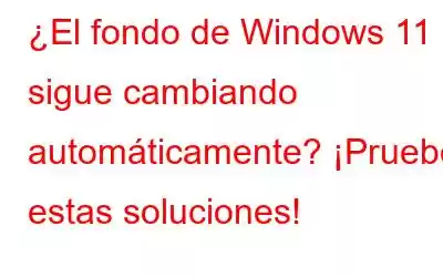 ¿El fondo de Windows 11 sigue cambiando automáticamente? ¡Pruebe estas soluciones!