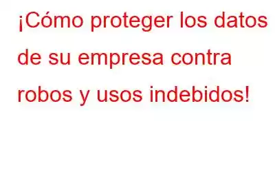 ¡Cómo proteger los datos de su empresa contra robos y usos indebidos!