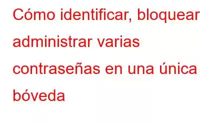 Cómo identificar, bloquear y administrar varias contraseñas en una única bóveda