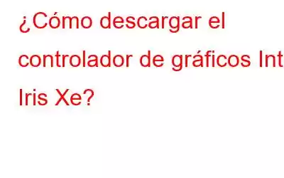 ¿Cómo descargar el controlador de gráficos Intel Iris Xe?