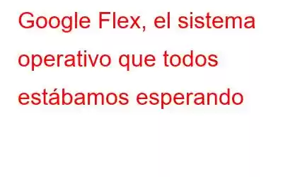 Google Flex, el sistema operativo que todos estábamos esperando