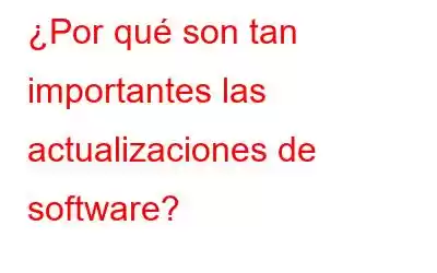 ¿Por qué son tan importantes las actualizaciones de software?