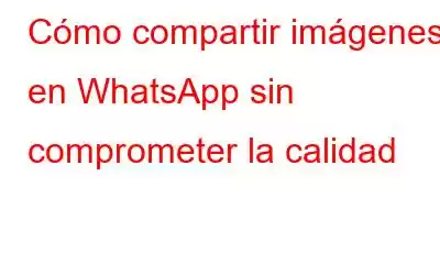 Cómo compartir imágenes en WhatsApp sin comprometer la calidad