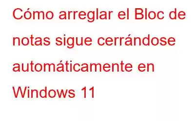 Cómo arreglar el Bloc de notas sigue cerrándose automáticamente en Windows 11