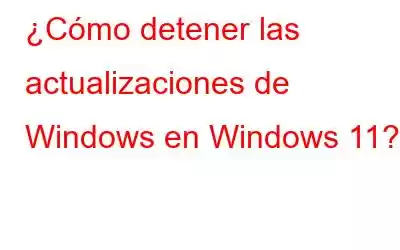 ¿Cómo detener las actualizaciones de Windows en Windows 11?