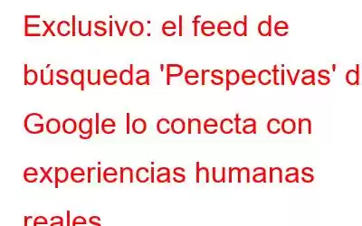 Exclusivo: el feed de búsqueda 'Perspectivas' de Google lo conecta con experiencias humanas reales