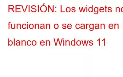 REVISIÓN: Los widgets no funcionan o se cargan en blanco en Windows 11