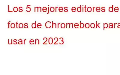 Los 5 mejores editores de fotos de Chromebook para usar en 2023