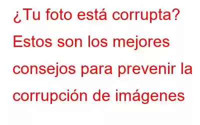 ¿Tu foto está corrupta? Estos son los mejores consejos para prevenir la corrupción de imágenes