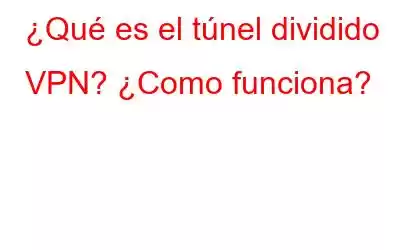 ¿Qué es el túnel dividido VPN? ¿Como funciona?