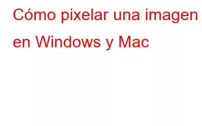 Cómo pixelar una imagen en Windows y Mac