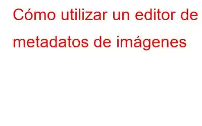 Cómo utilizar un editor de metadatos de imágenes