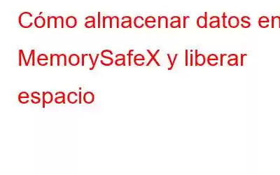 Cómo almacenar datos en MemorySafeX y liberar espacio