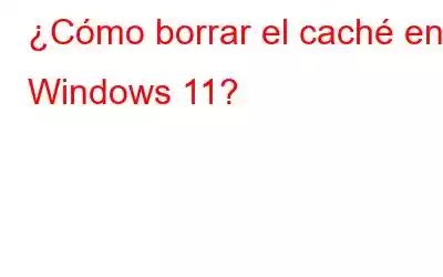 ¿Cómo borrar el caché en Windows 11?