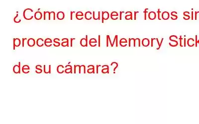 ¿Cómo recuperar fotos sin procesar del Memory Stick de su cámara?