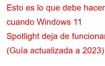 Esto es lo que debe hacer cuando Windows 11 Spotlight deja de funcionar (Guía actualizada a 2023)