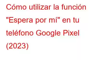 Cómo utilizar la función 