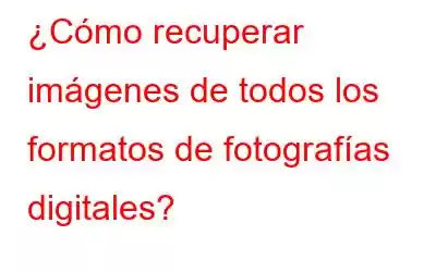 ¿Cómo recuperar imágenes de todos los formatos de fotografías digitales?