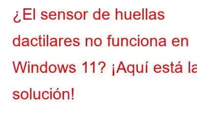 ¿El sensor de huellas dactilares no funciona en Windows 11? ¡Aquí está la solución!