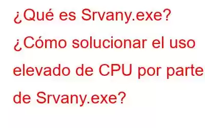 ¿Qué es Srvany.exe? ¿Cómo solucionar el uso elevado de CPU por parte de Srvany.exe?