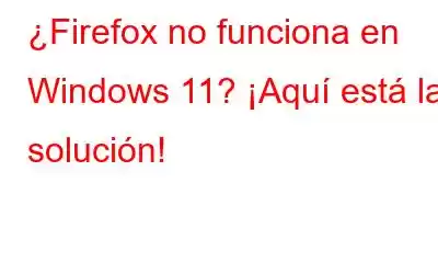 ¿Firefox no funciona en Windows 11? ¡Aquí está la solución!