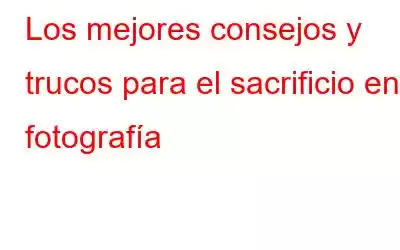 Los mejores consejos y trucos para el sacrificio en fotografía