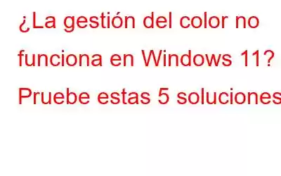 ¿La gestión del color no funciona en Windows 11? Pruebe estas 5 soluciones