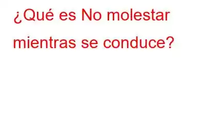 ¿Qué es No molestar mientras se conduce?