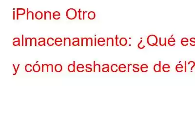 iPhone Otro almacenamiento: ¿Qué es y cómo deshacerse de él?