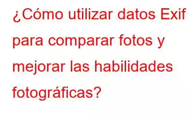 ¿Cómo utilizar datos Exif para comparar fotos y mejorar las habilidades fotográficas?