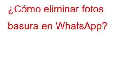 ¿Cómo eliminar fotos basura en WhatsApp?