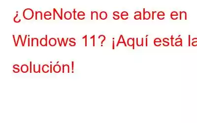 ¿OneNote no se abre en Windows 11? ¡Aquí está la solución!