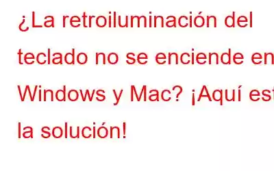 ¿La retroiluminación del teclado no se enciende en Windows y Mac? ¡Aquí está la solución!