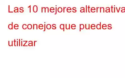 Las 10 mejores alternativas de conejos que puedes utilizar