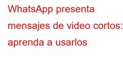 WhatsApp presenta mensajes de video cortos: aprenda a usarlos