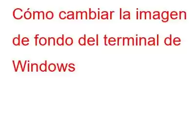 Cómo cambiar la imagen de fondo del terminal de Windows