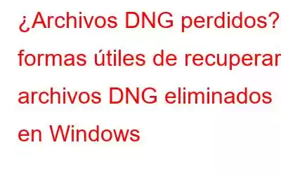 ¿Archivos DNG perdidos? 3 formas útiles de recuperar archivos DNG eliminados en Windows