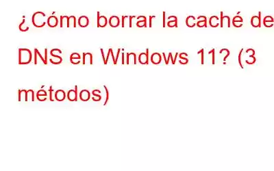 ¿Cómo borrar la caché de DNS en Windows 11? (3 métodos)