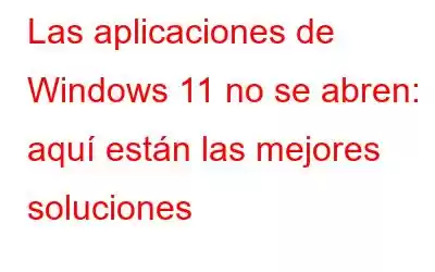 Las aplicaciones de Windows 11 no se abren: aquí están las mejores soluciones