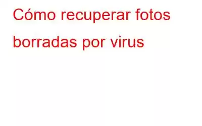 Cómo recuperar fotos borradas por virus