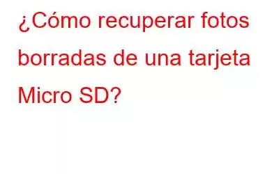 ¿Cómo recuperar fotos borradas de una tarjeta Micro SD?